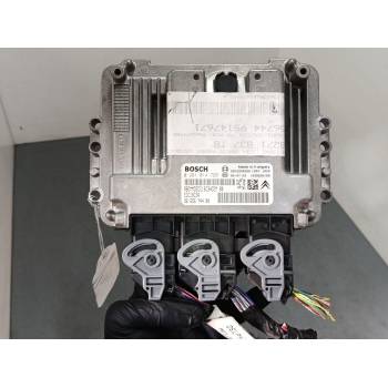 CENTRALITA MOTOR UCE 9665674480 0281014729 9653958980