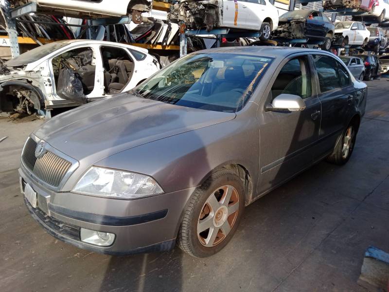 SKODA OCTAVIA II (1Z3)
