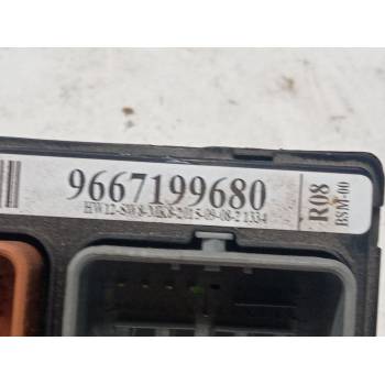 BSM 9667199680 