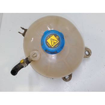BOTELLA EXPANSION 51722078 