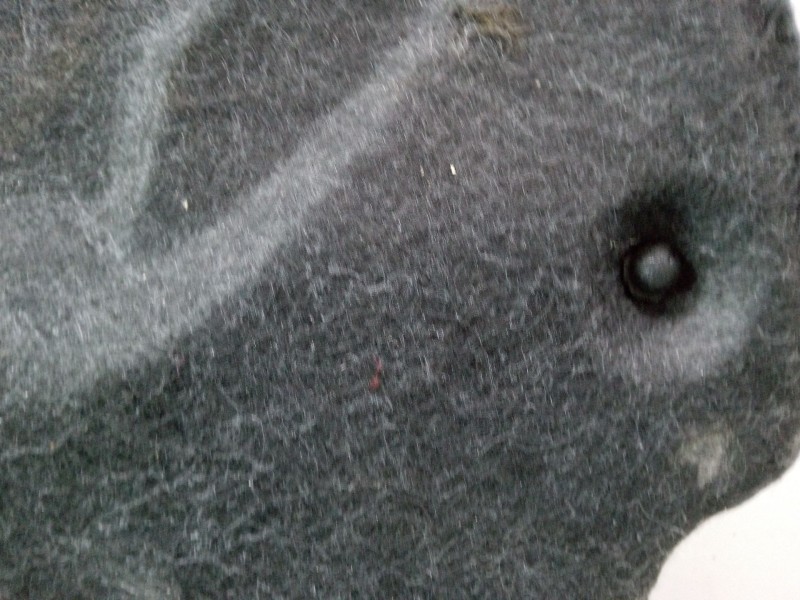 Recambio de bandeja trasera para peugeot 307 (3a/c) 1.4 16v referencia OEM IAM   