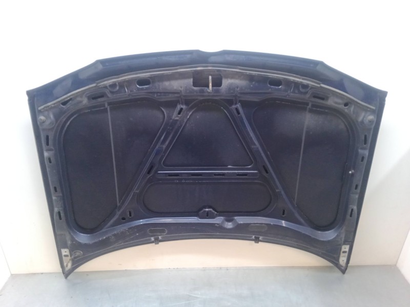 Recambio de capo para volkswagen golf iv (1j1) 1.6 16v referencia OEM IAM   