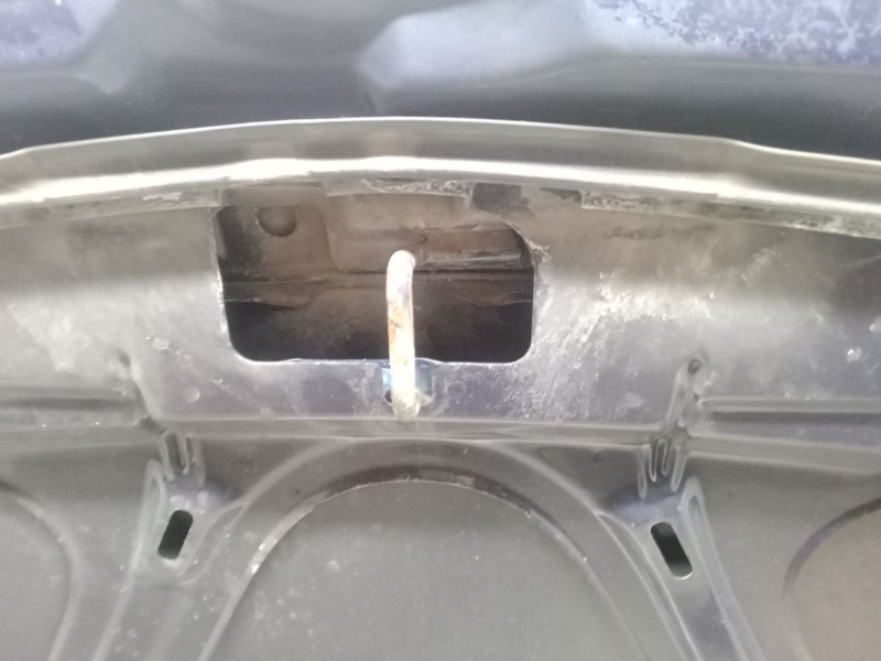 Recambio de capo para volkswagen golf iv (1j1) 1.6 16v referencia OEM IAM   