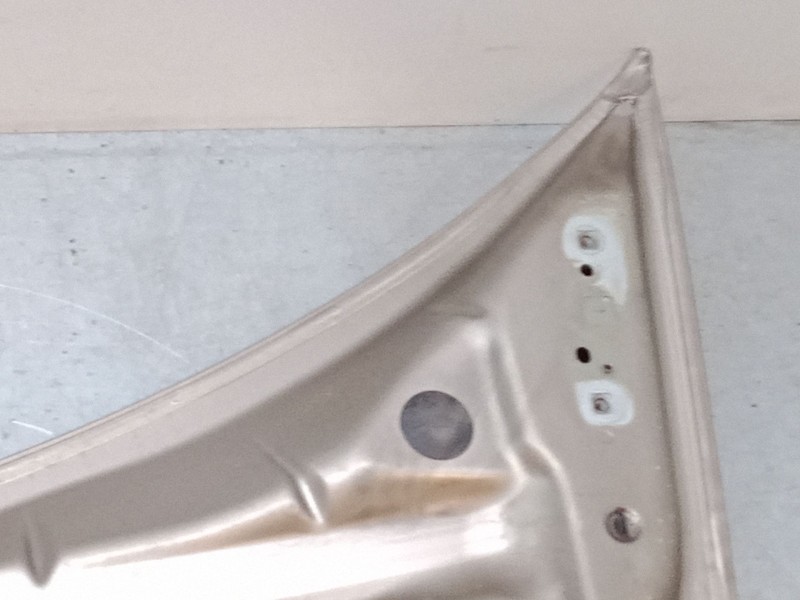 Recambio de capo para renault modus / grand modus (f/jp0_) 1.2 16v (jp0w) referencia OEM IAM   