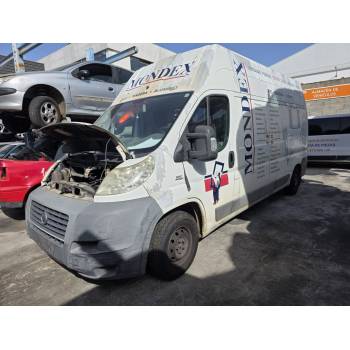 FIAT DUCATO Caja/Chasis (250_) de desguace