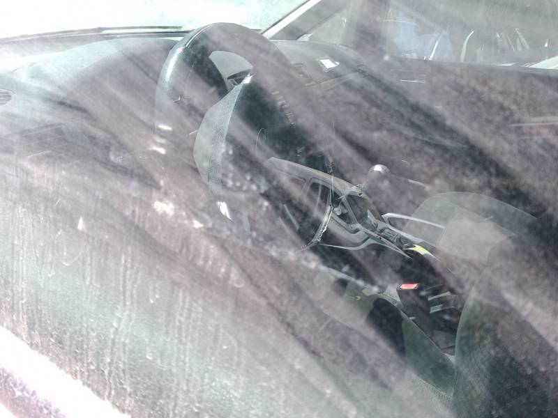 FORD FOCUS C-MAX (DM2)
