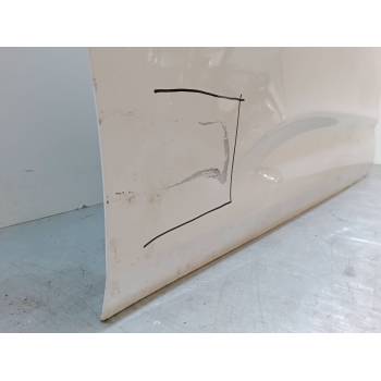 PUERTA DELANTERA IZQUIERDA 