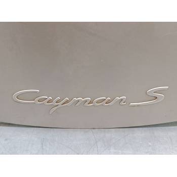 PORTON TRASERO 98751201101GRV 