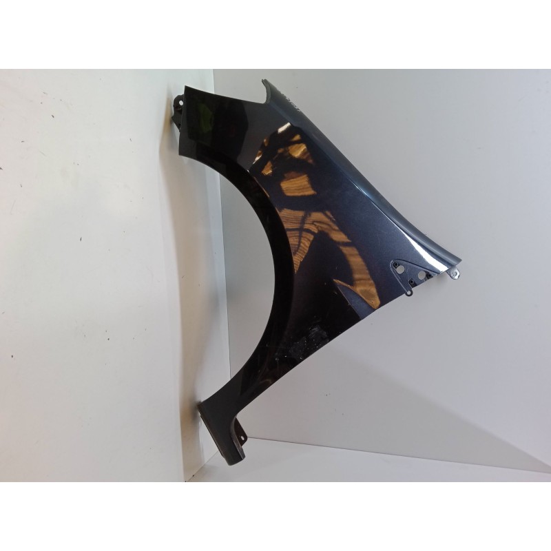 Recambio de aleta delantera izquierda para renault clio iii (br0/1, cr0/1) 1.4 16v referencia OEM IAM   