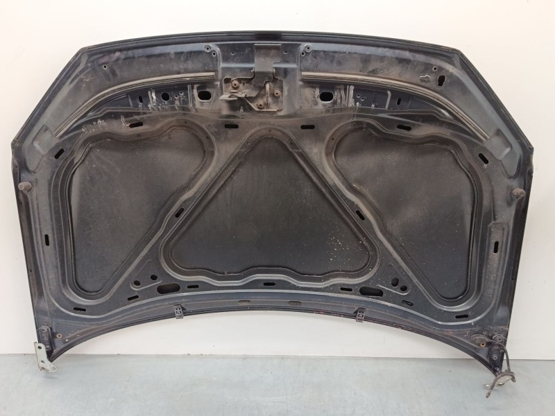 Recambio de capo para volkswagen polo iv (9n_, 9a_) 1.4 16v referencia OEM IAM   