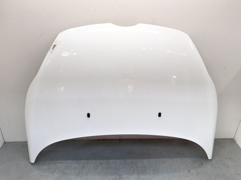 Recambio de capo para ford fiesta vi (cb1, ccn) 1.6 tdci referencia OEM IAM   