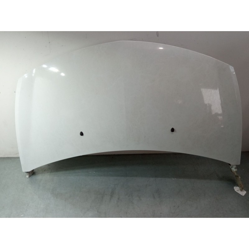 Recambio de capo para renault clio iii (br0/1, cr0/1) 1.2 16v (br02, br0j, br11, cr02, cr0j, cr11) referencia OEM IAM   