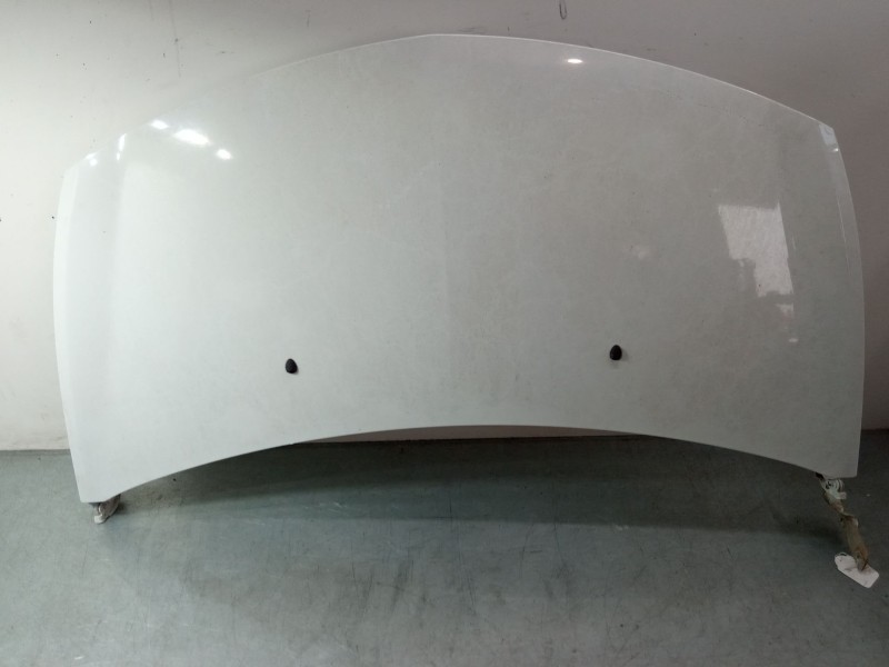 Recambio de capo para renault clio iii (br0/1, cr0/1) 1.2 16v (br02, br0j, br11, cr02, cr0j, cr11) referencia OEM IAM   