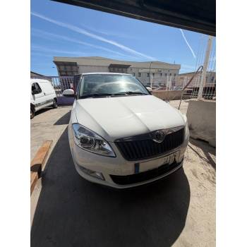 SKODA FABIA II (542)