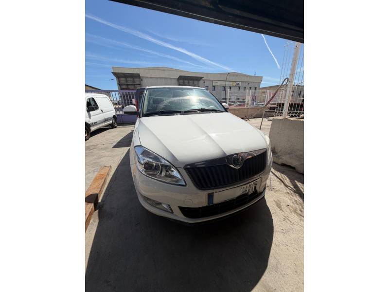 SKODA FABIA II (542)