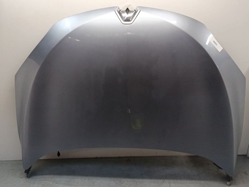 Recambio de capo para renault megane iii hatchback (bz0/1_, b3_) 1.5 dci referencia OEM IAM   