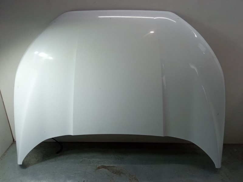 Recambio de capo para ford ecosport 1.0 ecoboost referencia OEM IAM GN15N16612  