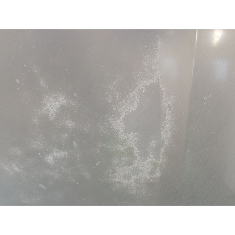 Recambio de capo para citroën berlingo / berlingo first monospace (mf_, gjk_, gfk_) 2.0 hdi 90 (mfrhy) referencia OEM IAM   