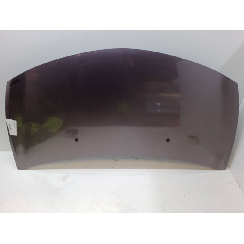 Recambio de capo para renault clio iii (br0/1, cr0/1) 1.2 16v (br02, br0j, br11, cr02, cr0j, cr11) referencia OEM IAM   
