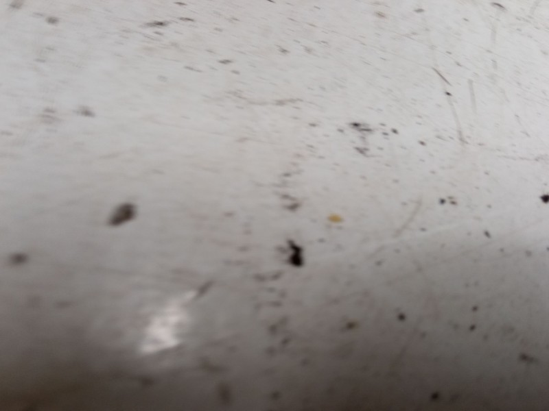 Recambio de cinturon seguridad trasero izquierdo para audi a3 (8p1) 2.0 tdi 16v referencia OEM IAM   