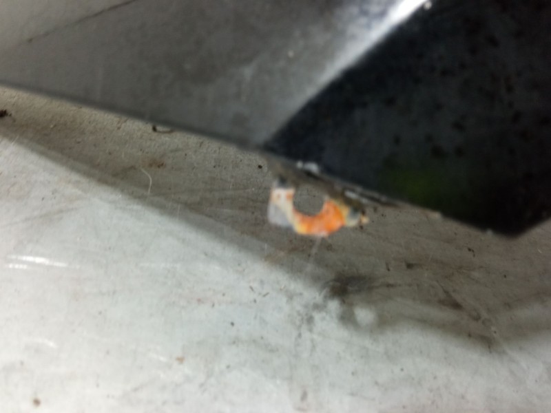 Recambio de aleta delantera izquierda para bmw 1 (e87) 118 d referencia OEM IAM   