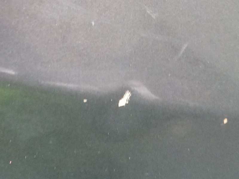 Recambio de aleta delantera derecha para renault clio i (b/c57_, 5/357_) 1.2 (5/357y, 5/357k) referencia OEM IAM   