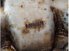 Recambio de llanta chapa 13´´ para peugeot 205 sr referencia OEM IAM    2