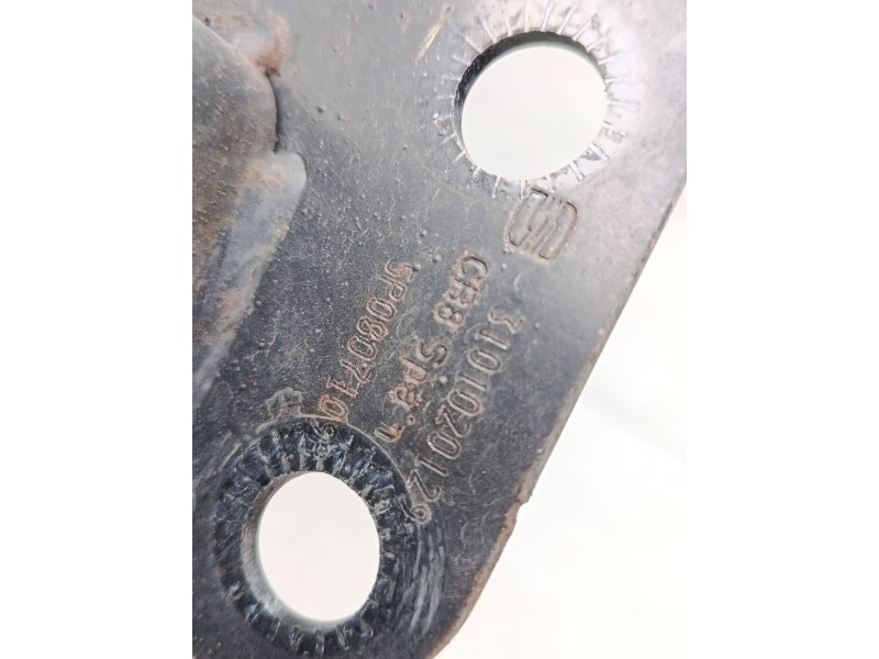 Recambio de refuerzo paragolpes delantero para seat altea xl (5p5, 5p8) 1.4 tsi referencia OEM IAM 5P0807109  