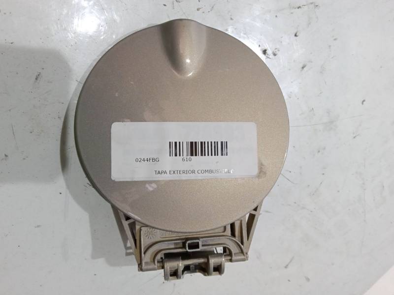 TAPA EXTERIOR COMBUSTIBLE 9638184280 