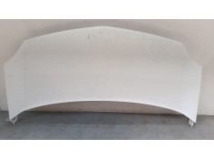 Recambio de capo para renault kangoo express (fw0/1_) 1.5 dci 75 (fw07, fw10, fw04) referencia OEM IAM   