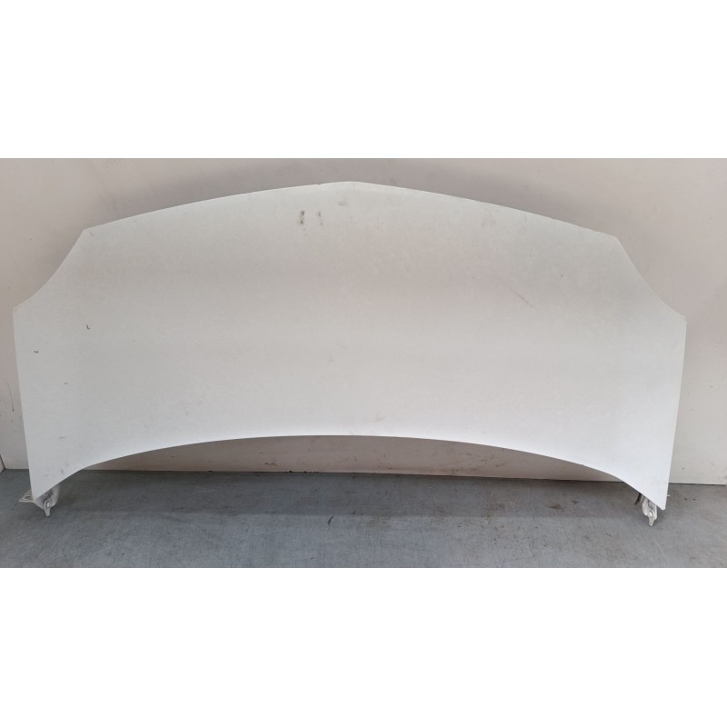 Recambio de capo para renault kangoo express (fw0/1_) 1.5 dci 75 (fw07, fw10, fw04) referencia OEM IAM   