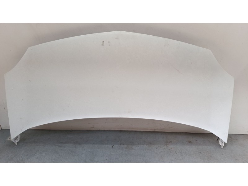 Recambio de capo para renault kangoo express (fw0/1_) 1.5 dci 75 (fw07, fw10, fw04) referencia OEM IAM   