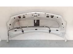Recambio de capo para renault kangoo express (fw0/1_) 1.5 dci 75 (fw07, fw10, fw04) referencia OEM IAM    2