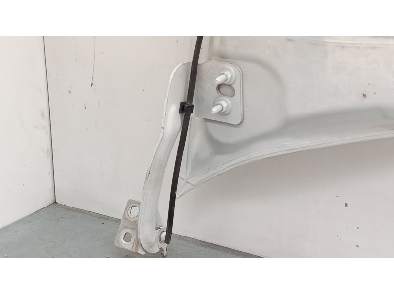 Recambio de capo para renault kangoo express (fw0/1_) 1.5 dci 75 (fw07, fw10, fw04) referencia OEM IAM   