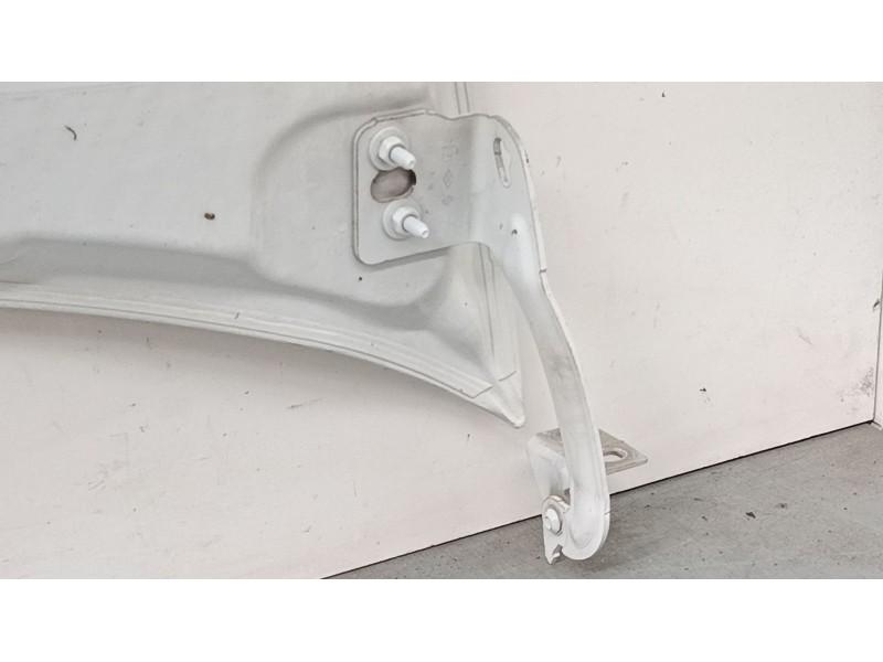 Recambio de capo para renault kangoo express (fw0/1_) 1.5 dci 75 (fw07, fw10, fw04) referencia OEM IAM   