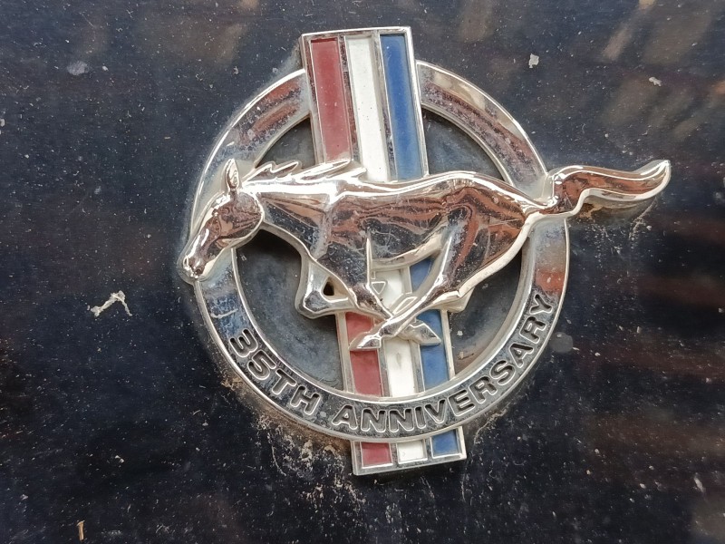 Recambio de aleta delantera izquierda para ford usa mustang coupé (c) 3.8 referencia OEM IAM XR16016  