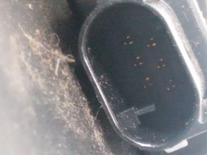 Recambio de pedal acelerador para mini mini (r56) one referencia OEM IAM 3542677015001  