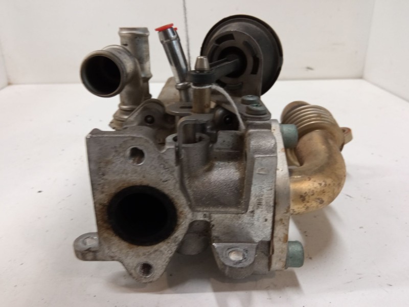 Recambio de enfriador para volkswagen passat b6 (3c2) 2.0 tdi 16v referencia OEM IAM 03g131513j  