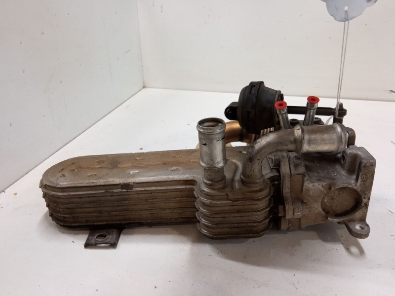Recambio de enfriador para volkswagen passat b6 (3c2) 2.0 tdi 16v referencia OEM IAM 03g131513j  
