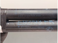 Recambio de amortiguadores capo para bmw 3 coupé (e92) 320 d xdrive referencia OEM IAM    2