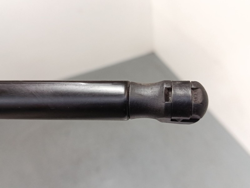 Recambio de amortiguadores capo para audi a3 sportback (8pa) 2.0 tdi 16v referencia OEM IAM   