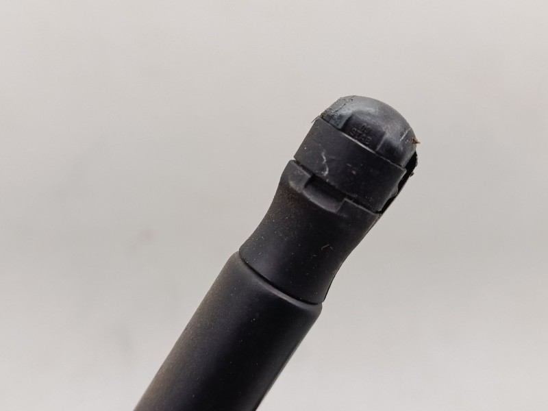 Recambio de amortiguadores capo para volkswagen golf v (1k1) 1.9 tdi referencia OEM IAM   