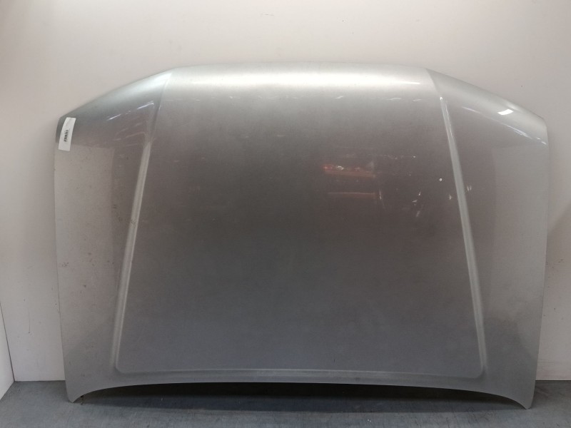 Recambio de capo para nissan pathfinder iii (r51) 2.5 dci referencia OEM IAM   