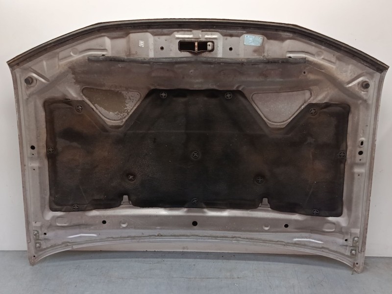 Recambio de capo para nissan pathfinder iii (r51) 2.5 dci referencia OEM IAM   