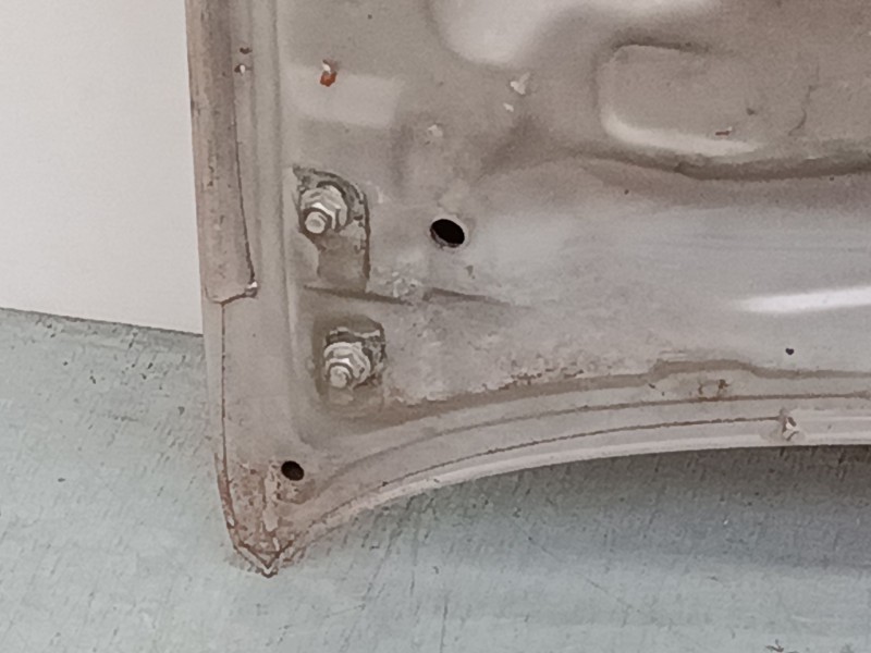 Recambio de capo para nissan pathfinder iii (r51) 2.5 dci referencia OEM IAM   