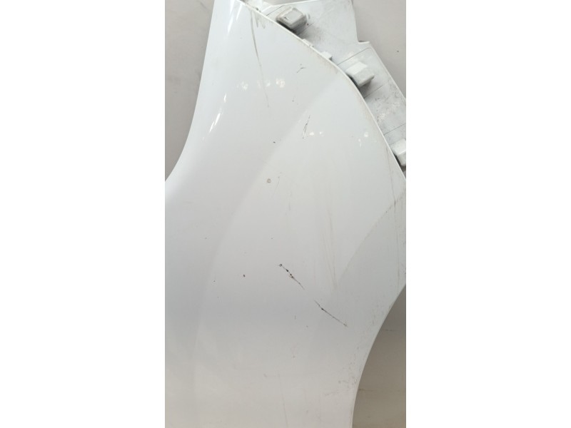 Recambio de aleta delantera derecha para renault kangoo express (fw0/1_) z.e. (fw0z, fw1z) referencia OEM IAM 631002210R  