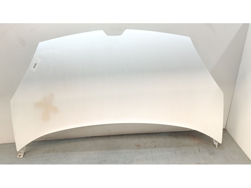 Recambio de capo para renault kangoo express (fw0/1_) z.e. (fw0z, fw1z) referencia OEM IAM 651001209R  