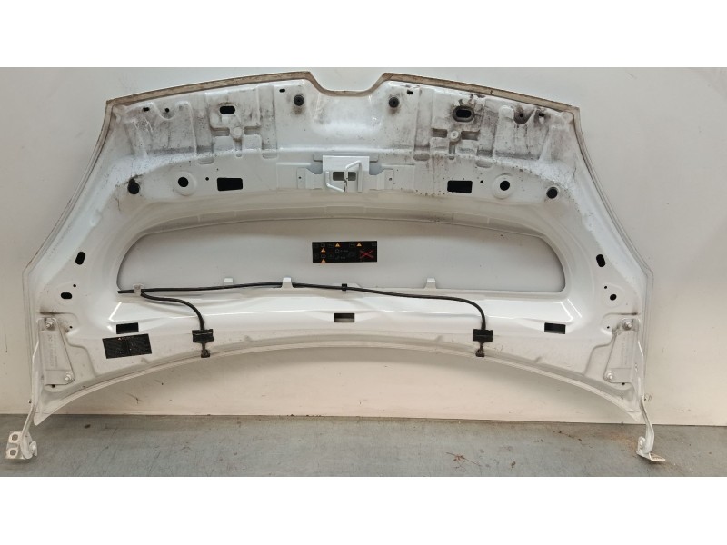 Recambio de capo para renault kangoo express (fw0/1_) z.e. (fw0z, fw1z) referencia OEM IAM 651001209R  
