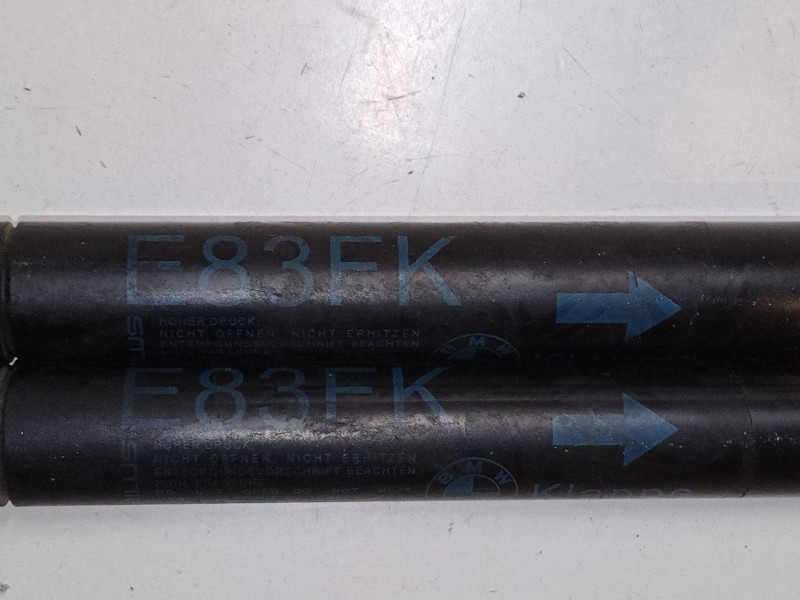 Recambio de amortiguadores capo para bmw x3 (e83) 2.0 d referencia OEM IAM   