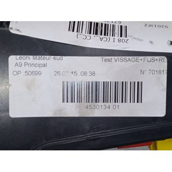 CAJA RELES / FUSIBLES 